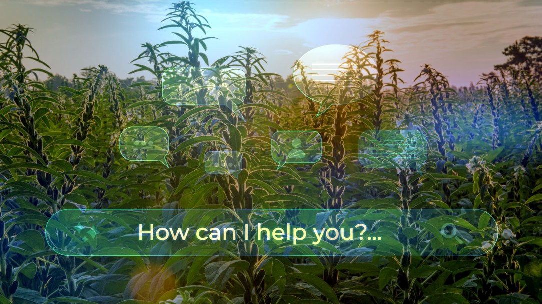 ai-chatbot-crops-die
