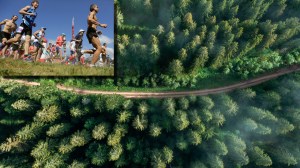 Backyard Ultra Marathon runners through a forest in Germany