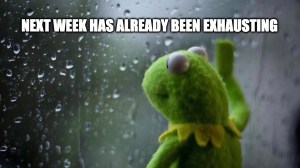 best sat Kermit the Frog meme staring out the window