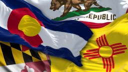 The 8 Best State Flags In America (And The Stories Behind Them)