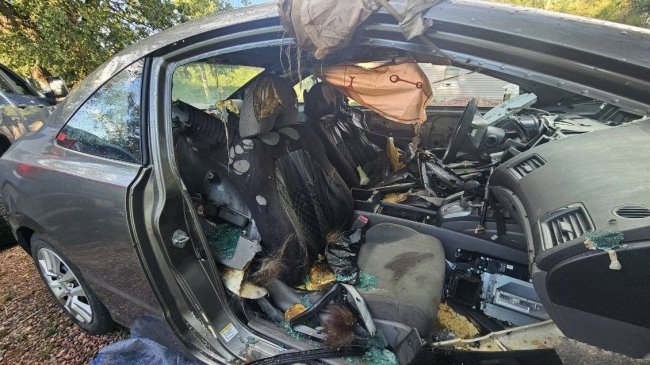 Car interior destroyed by bear in Colorado Springs