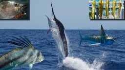 Ranking The 11 Best Saltwater Fishing Destinations On Earth For The Trip Of A Lifetime