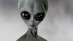 Whistleblower Claims US Government Is In Possession Of The Bodies Of Four Different Alien Species