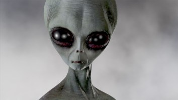 Whistleblower Claims US Government Is In Possession Of The Bodies Of Four Different Alien Species