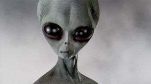 gray-alien