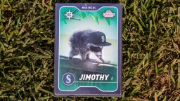 A 13-Year-Old Got A Free Jimothy Raccoon Card At Mariners And Bidding Has Already Passed $15,000