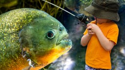 Piranha Caught In A Pennsylvania Lake Leaves 8-Year-Old Angler Shocked