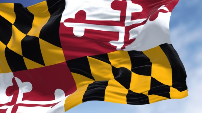 Maryland state flag
