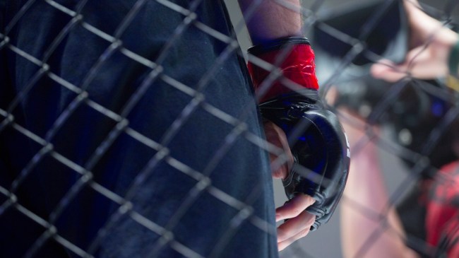 MMA fighter in cage