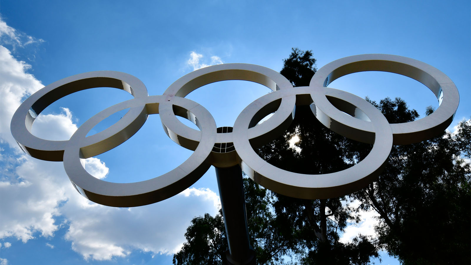 Study Reveals Percentage of Men Who Believe They Can Become Olympians by 2028 Study Reveals Percentage of Men Who Believe They Can Become Olympians by 2028
