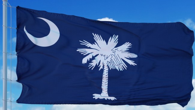 South Carolina state flag