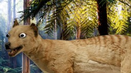 Taxidermied Animal Head With Googly Eyes Sells For Over $80K After It Turned Out To Be A Species That’s Been Extinct For Close To A Century