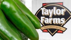 taylor-farms-jalapenos