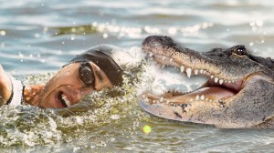 Triathlon swimmer next to alligator
