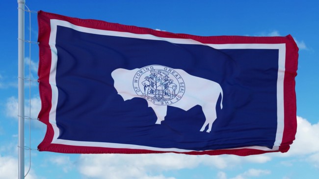 Wyoming state flag