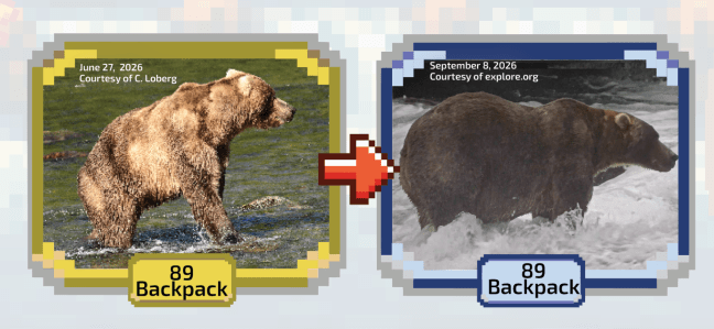 Bear 89 Backpack