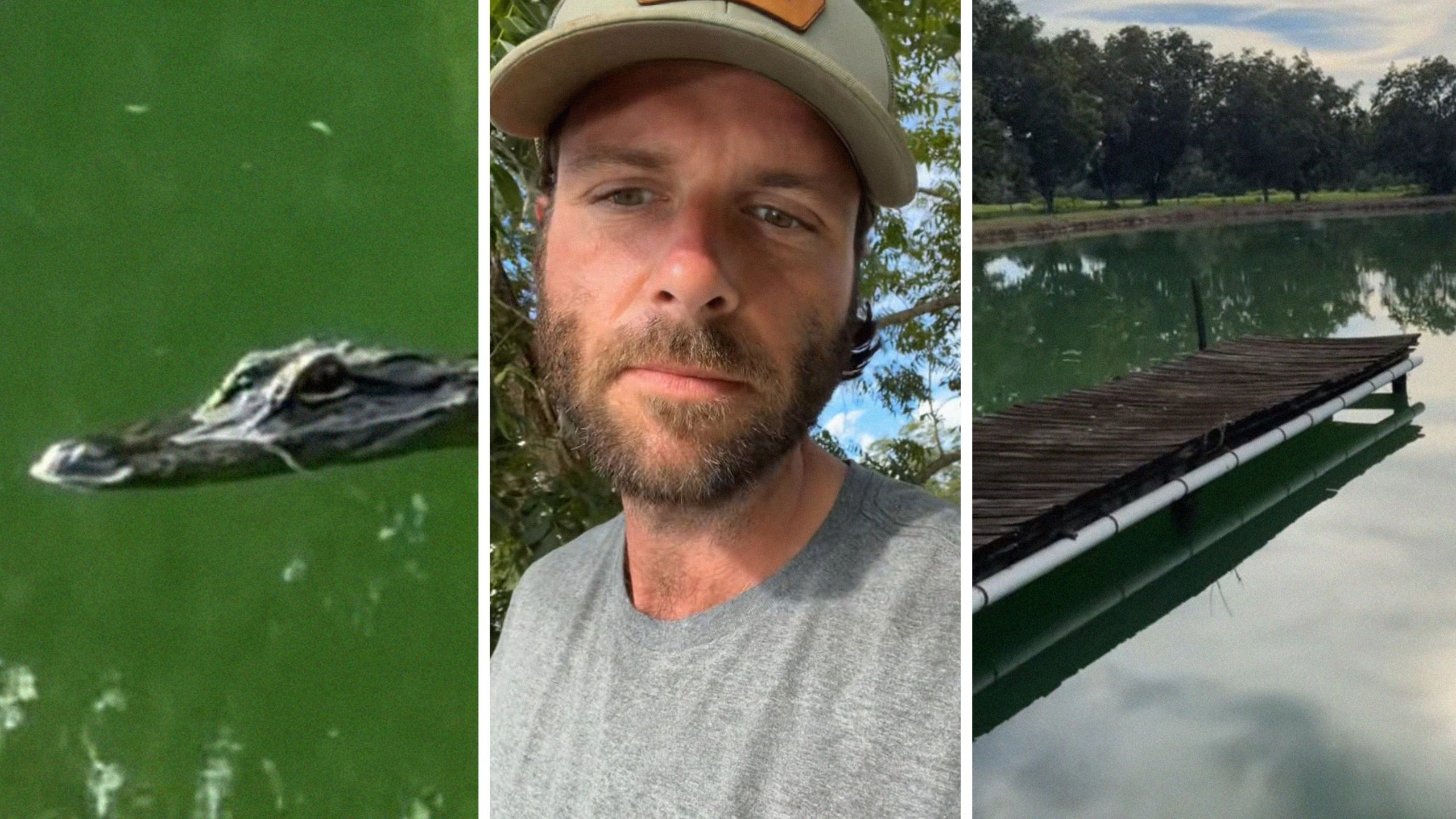 young alligator (l) man shows off his pond pet (c) clean pond (r)