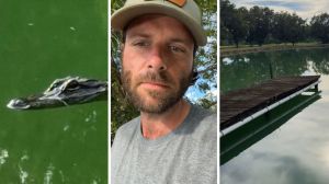 young alligator (l) man shows off his pond pet (c) clean pond (r)