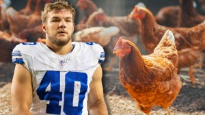 Cowboys FB Hunter Luepke next to chickens