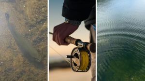 swimming bass (l) man goes fishing (c) large body of water (r)