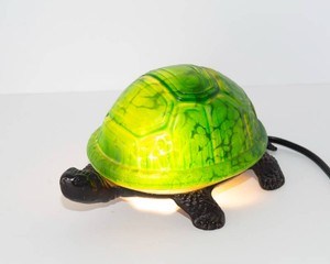 Mike Muscala glass turtle
