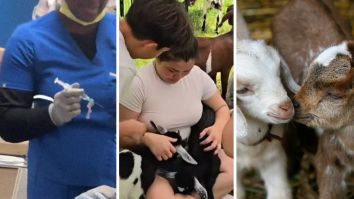 North Carolina Family Hires Petting Zoo For Event. Weeks Later, The Entire Guest List Is Getting Rabies Shots: ‘I Thought You Had To Be Bitten To Be Exposed?’