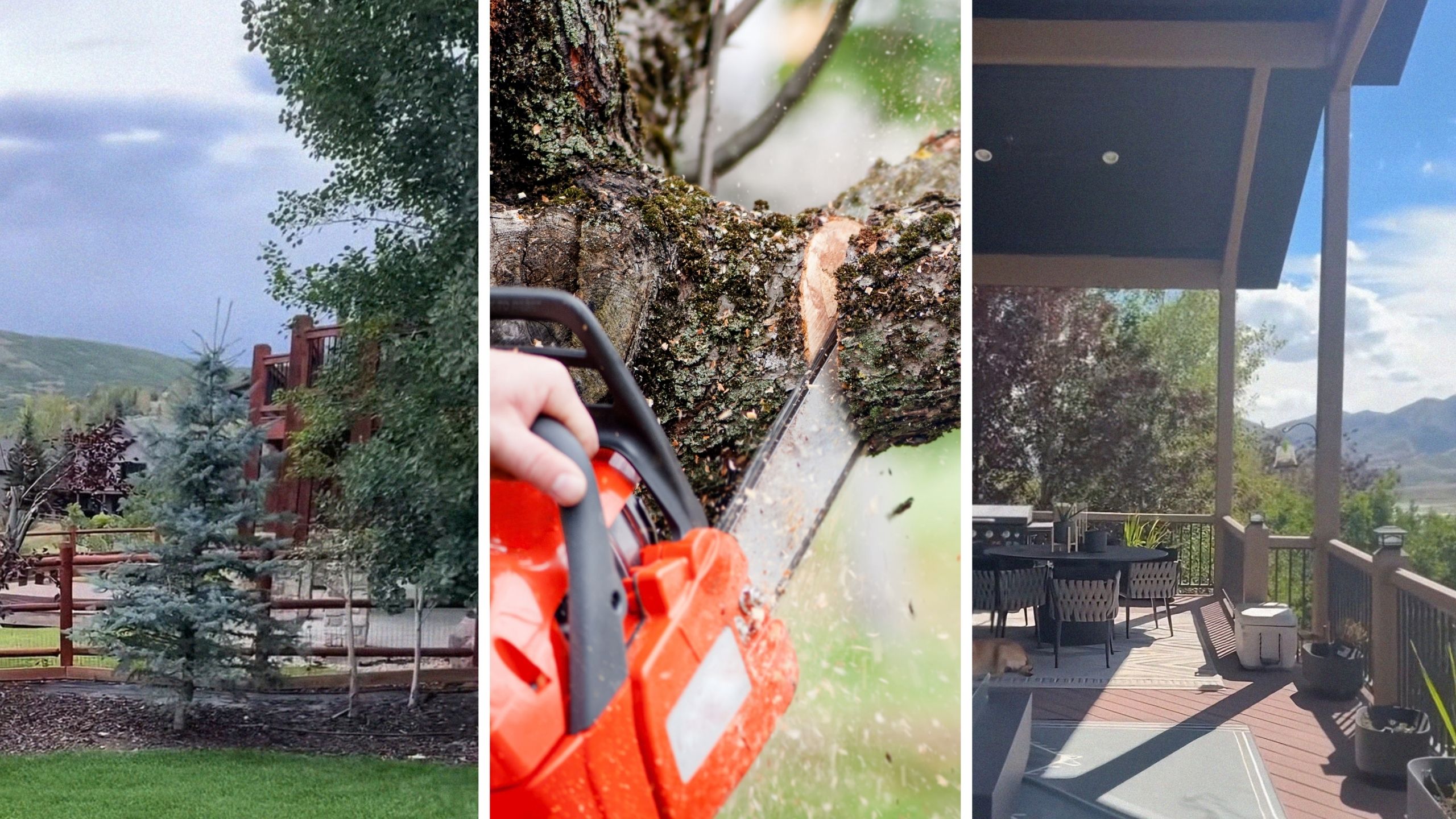 backyard view (l) person cutting down a tree (c) nature view (r)