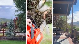 Woman Gets Home After Trip. Then She Notices Her Tree In Her Yard Is Gone: ‘You Just Hit The Jackpot Lawsuit-Wise’
