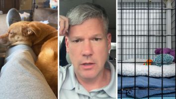 Virginia Man Leaves His Dog With A Trainer Before Trip To Oregon. Then He Gets A Disturbing Phone Call: ‘I Paid Her $3,000’
