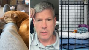 Alaskan village mix dog (l) man shares dog boarding issue (c) dog cage for boarding (r)
