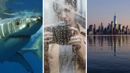 Resident Films New Jersey Floods Outside Their Window. Uh, Is That A Shark In The Street?