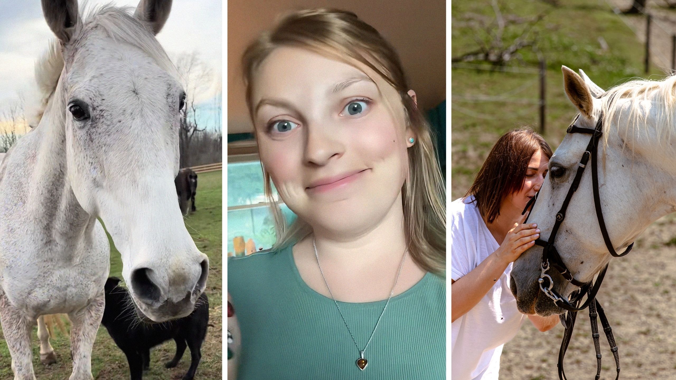white horse (l) woman shares how her horse saved her life (c) woman speaking with horse (r)