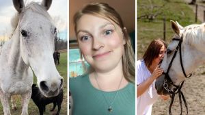 white horse (l) woman shares how her horse saved her life (c) woman speaking with horse (r)