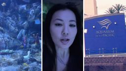 ‘Not Many People Know’: Woman Goes To Long Beach Aquarium. Then She Reveals A Secret About Captain Hook The Pufferfish