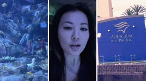 fishes inside an aquarium (l) woman shares aquarium observation (c) aquarium entrance (r)