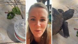 Woman Sees A Gopher Tortoise With A Crack In The Shell. Then She Realizes It’s Illegal To Mess With Him