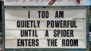 funny sign meme about spiders from the El Arroyo ATX sign in Austin