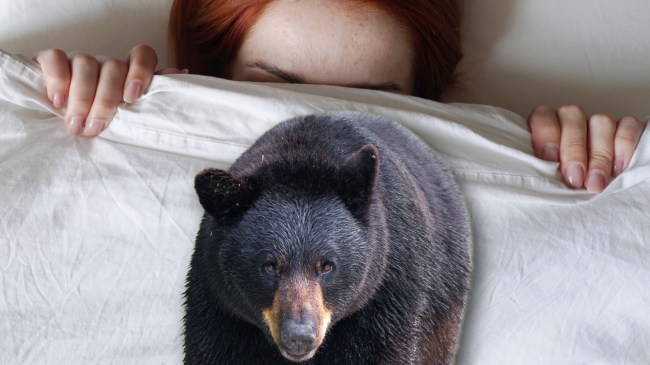 Woman hiding under blankets next to black bear