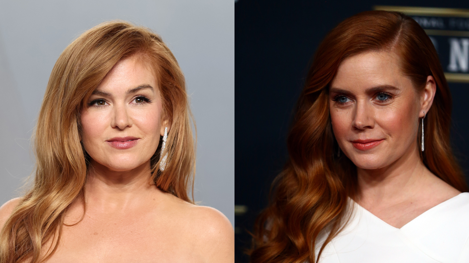 Celebrity lookalikes Isla Fisher and Amy Adams