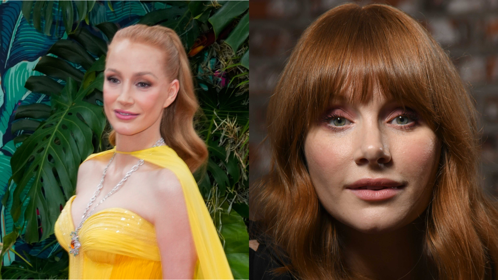 Celebrity lookalikes Jessica Chastain and Bryce Dallas Howard