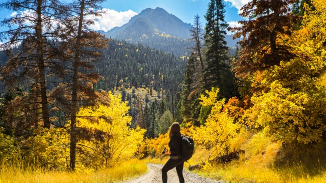 Hiker in Colorado
