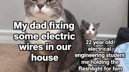 This Week’s 51 Best Memes (So Far) Across The Internet