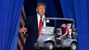President Trump Weighed In On Tiger Woods Losing His Driver’s License For 5 Years: ‘He Suffers Great Pain’