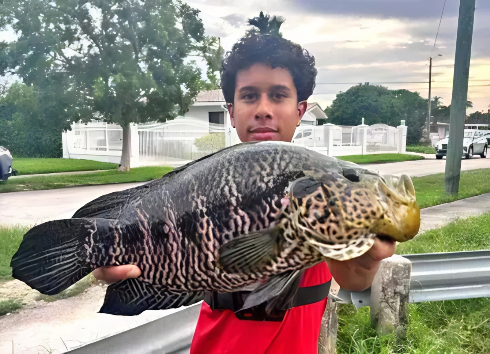 new Florida state fishing record for the invasive Jaguar Guapote species caught around Miami in South Florida