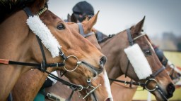 US Jockey Club Forces Owners Of Horse Called ‘Austrian Painter’ To Rename It Over Suspected Hitler Reference