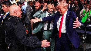 joe rogan trump