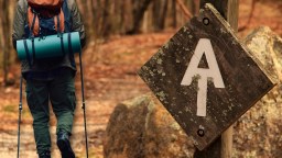 91-Year-Old Becomes Oldest Person To Ever Hike The Entire Appalachian Trail After Reclaiming His Record