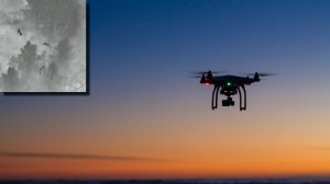 thermal drone captures nocturnal mountain lions next to a school in Boulder, Colorado
