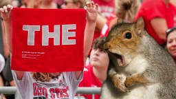 Cop At Ohio State Football Game Uses Soft Pretzel To Wrangle ‘Overwhelmed’ Squirrel That Invaded Stands