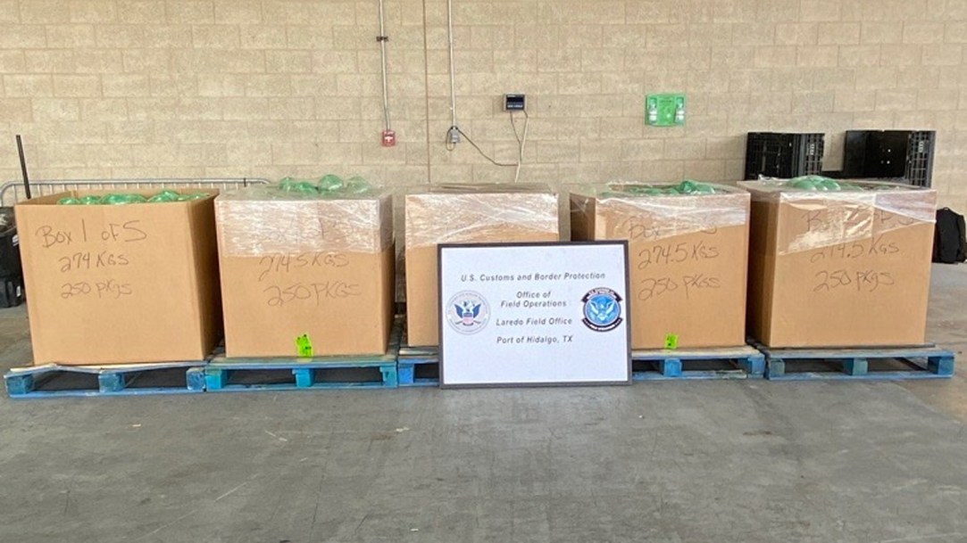shipment-of-cabbage-DEA